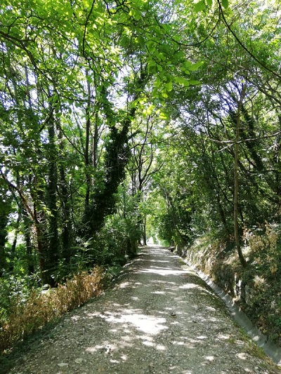 LA PASSEGGIATA DI VOLTA LUNGO LA VECCHIA VIA DEL TRAM