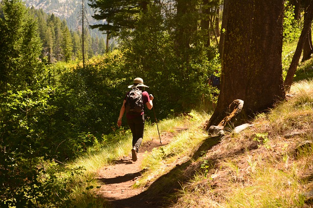 IL SEMPLICE GESTO DI CAMMINARE