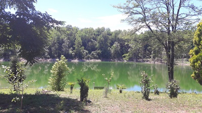 ALLA SCOPERTA DEL PARCO DEGLI AIRONI – GERENZANO (VA)