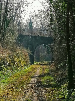 BRIOSCO:  ALLA RICERCA DEL SENTIERO DELLA VECCHIA LINEA FERROVIARIA